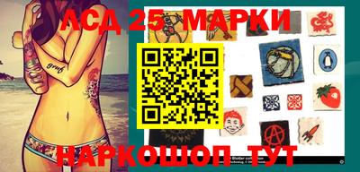 прущие крисы Моздок