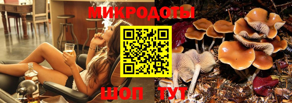 Галлюциногенные грибы GOLDEN TEACHER  Вход с VPN  хочу   Галлюциногенные грибы прущие грибы  Советская Гавань 